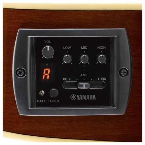 YAMAHA CPX600 ROOT BEER фото 2