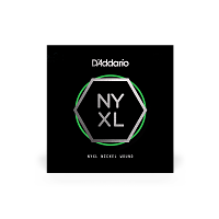 D`ADDARIO NYNW032